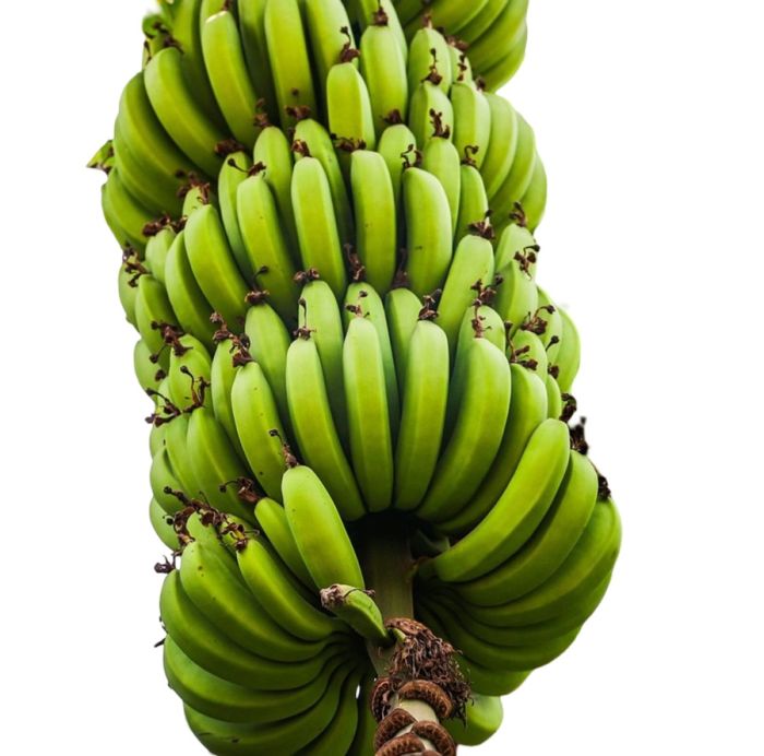 frutas